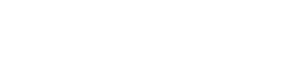 BIOART Logo