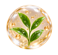 Camellia Sinensis Leaf Extract