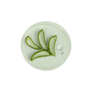 Aloe Barbadensis Leaf Juice