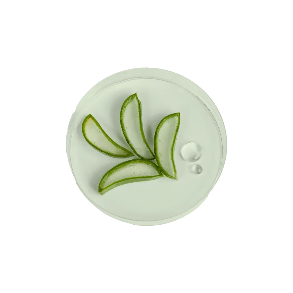 Aloe