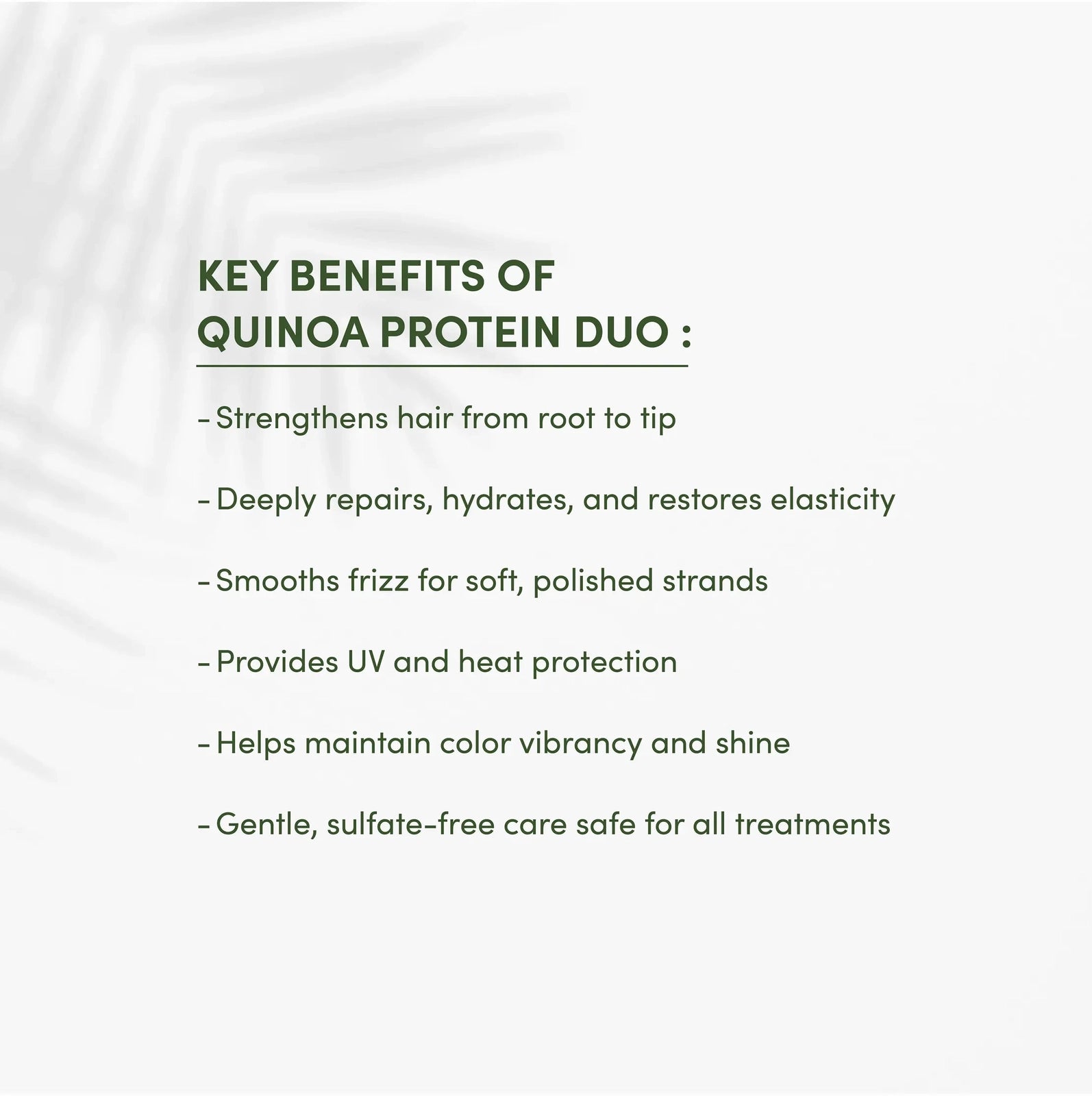 Text listing key benefits of Quinoa Protein Duo on a white background