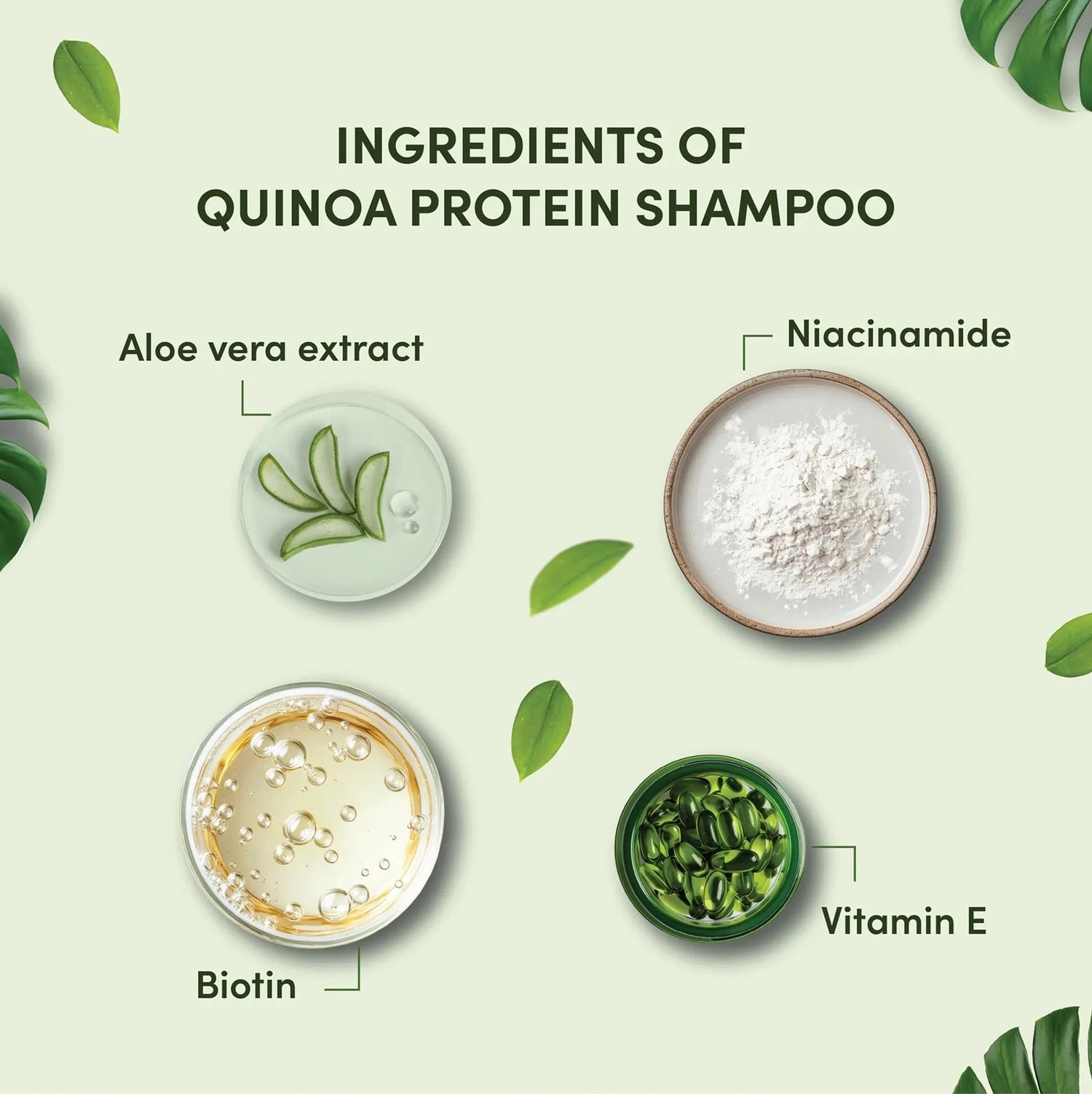 Ingredients of Quinoa Protein Shampoo with labeled components on a green background