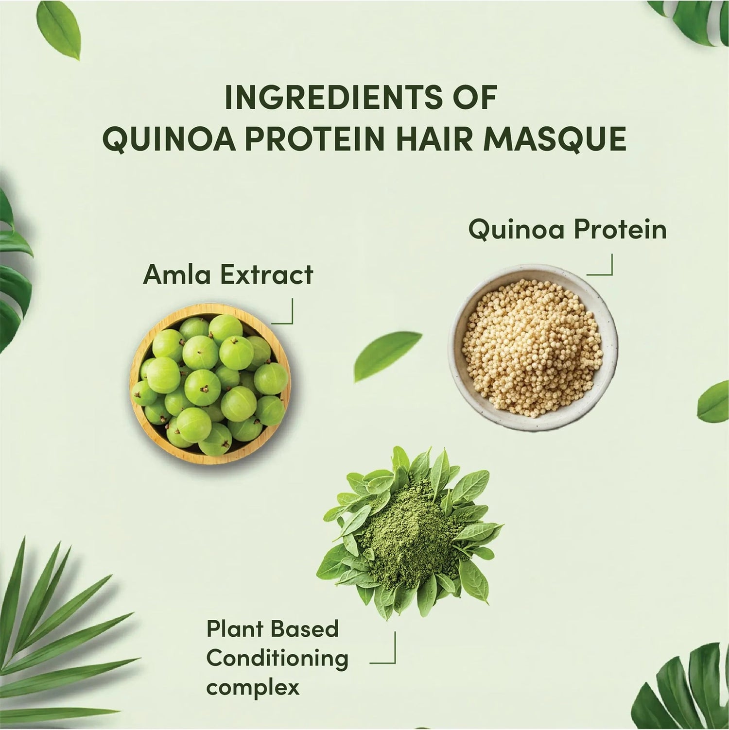 Ingredients of Quinoa Protein Hair Masque with Amla Extract and Plant Based Conditioning Complex on a green background.