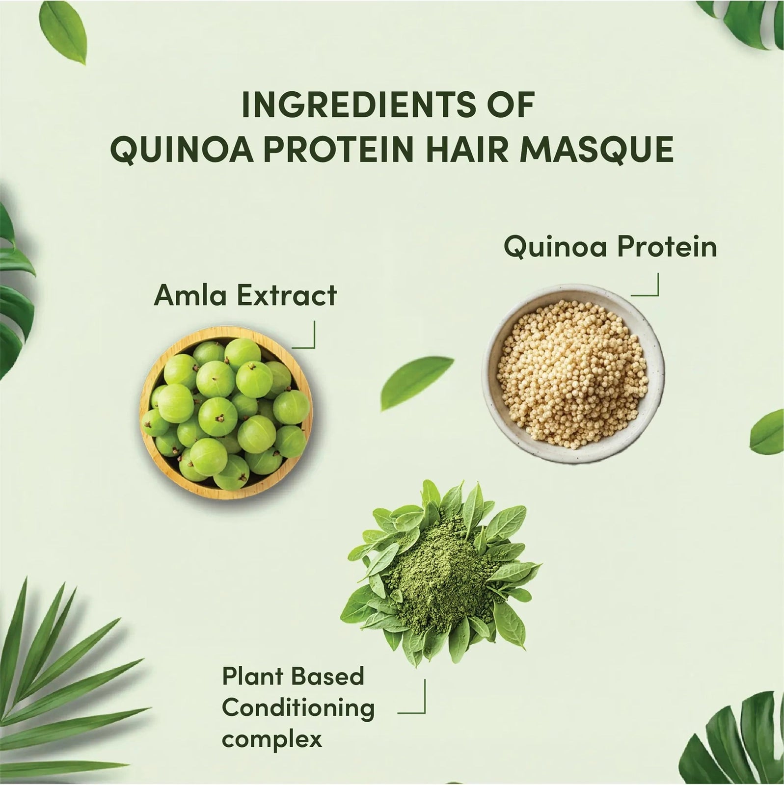 Ingredients of Quinoa Protein Hair Masque with Amla Extract and Plant Based Conditioning Complex on a green background.