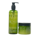Green shampoo bottle and jar with 'BIOART' branding on a white background