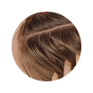 Scalp Health