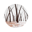 Follicle Environment