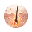Visible Hair Health