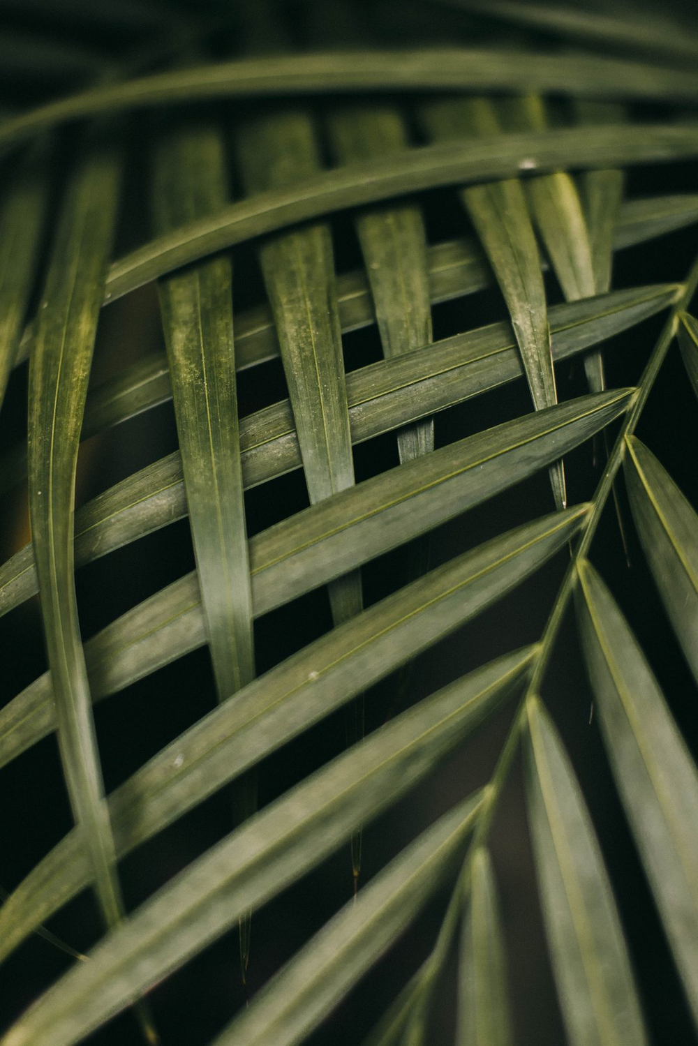 December — The Spark