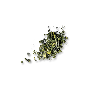 Camellia Sinensis Leaf Extract